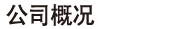 公司概况